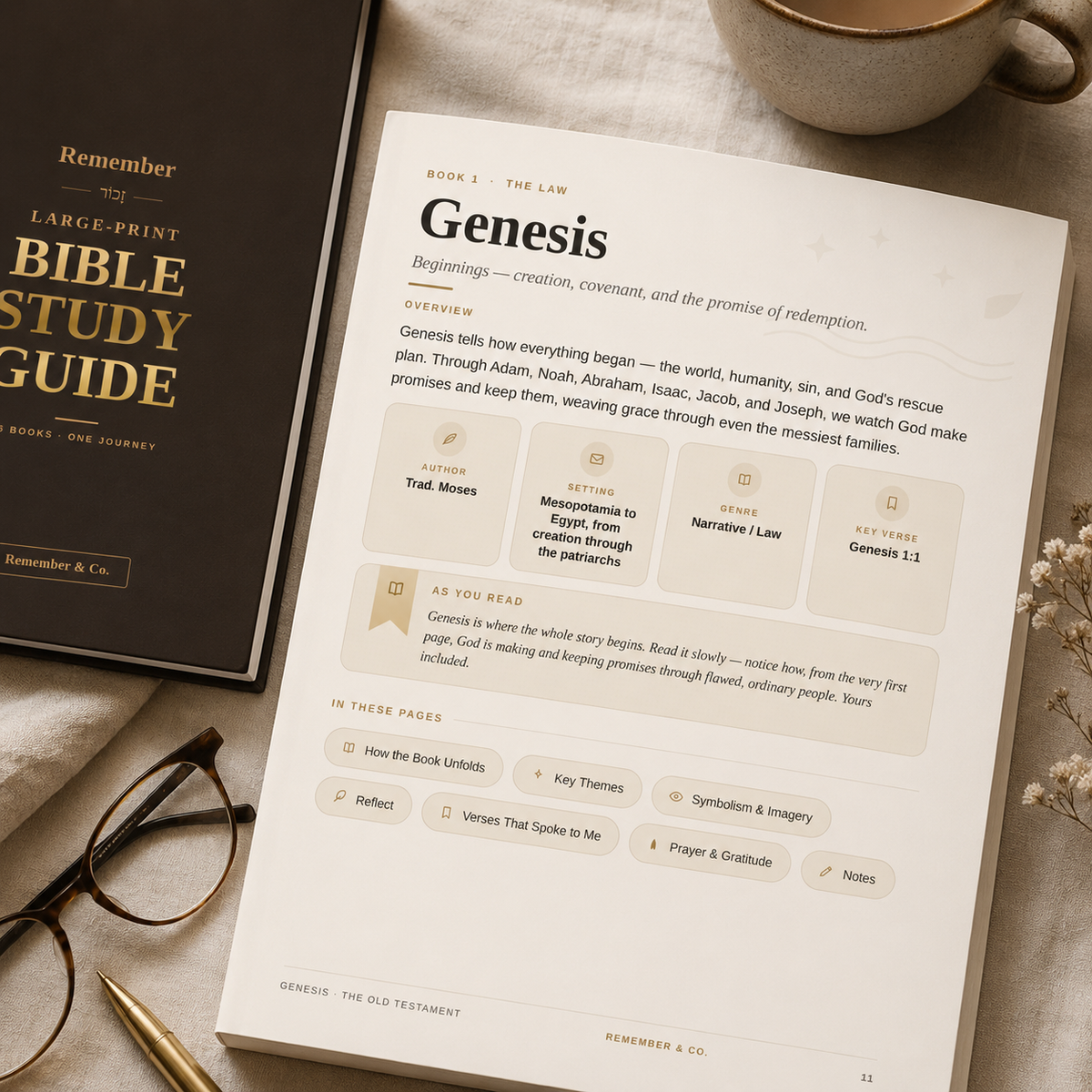 Genesis overview page showing large, easy-to-read print